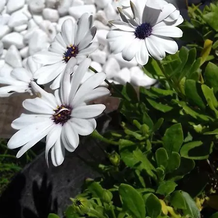 Portosantiago 旅馆